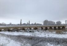 Dr. Burhanettin Onat ve Antalya’nın Tanıtımı